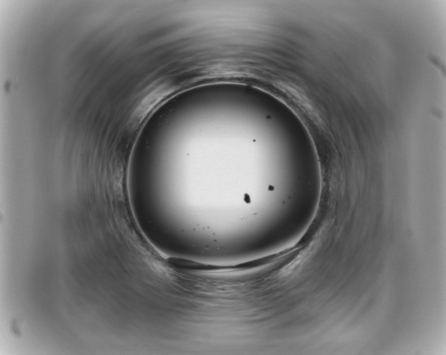X0000096201273200801251005