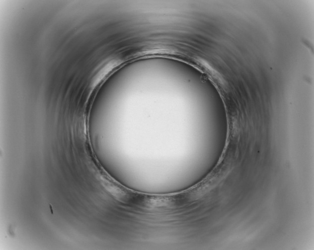 X0000096201274200801251005