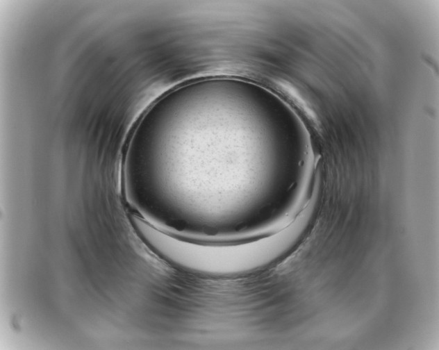 X0000096201276200801251005