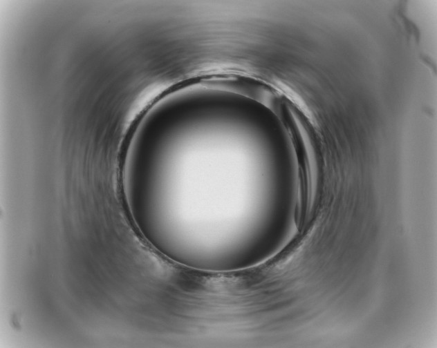 X0000096201277200801251005