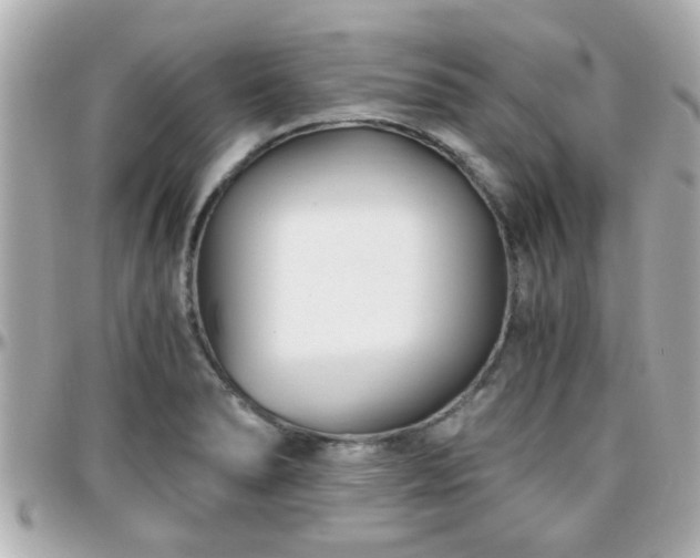 X0000096201278200801251005