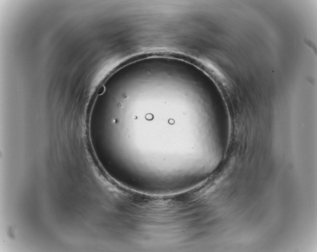 X0000096201279200801251005