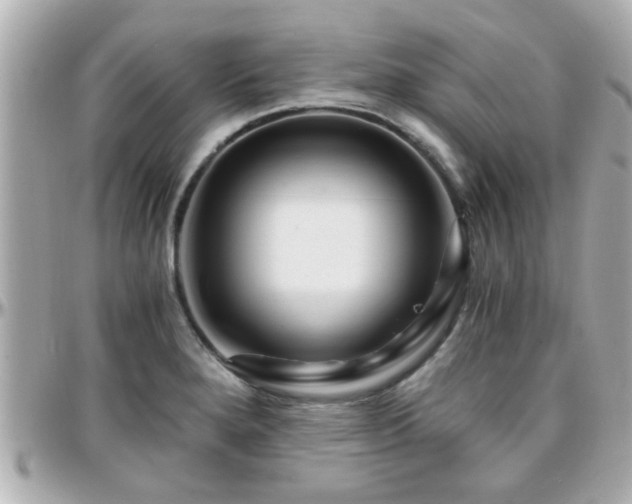 X0000096201280200801251005