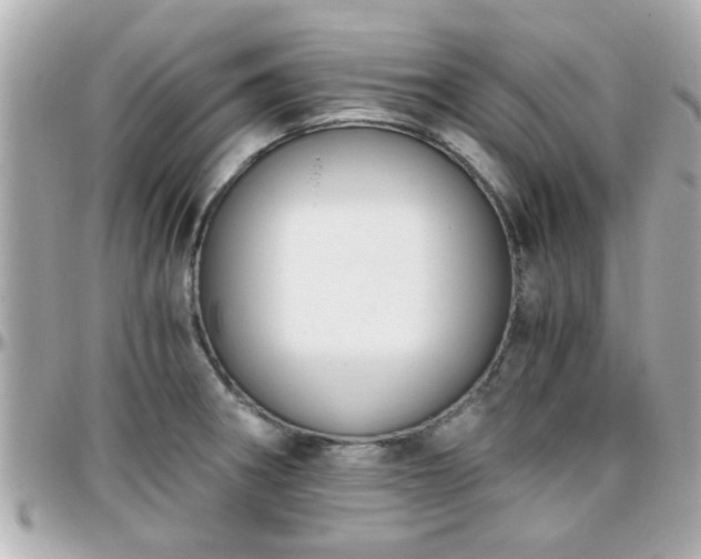 X0000096201282200801251005