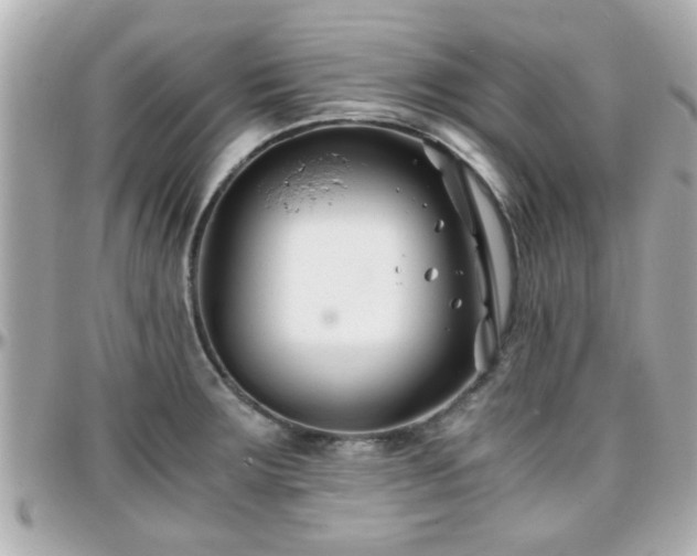 X0000096201283200801251005