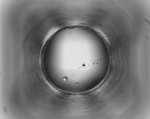 X0000096201285200801251004