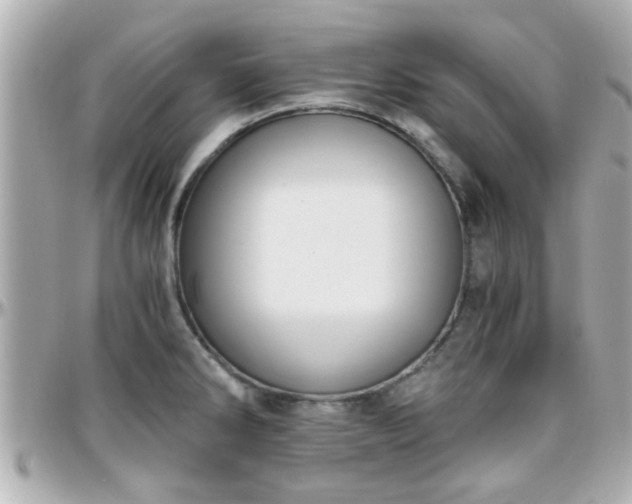 X0000096201286200801251004