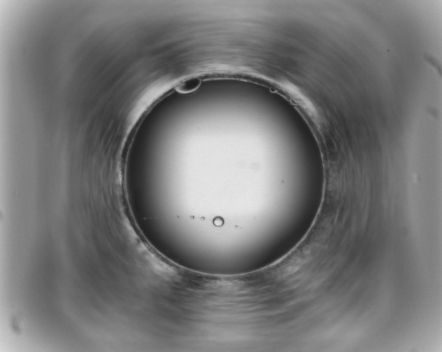 X0000096201287200801251004
