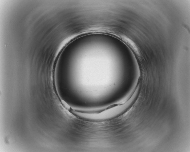 X0000096201288200801251004