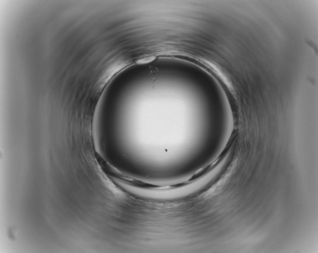 X0000096201289200801251004