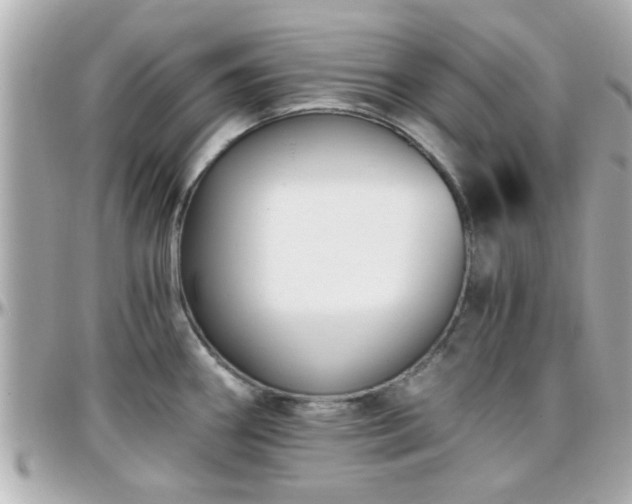X0000096201290200801251004