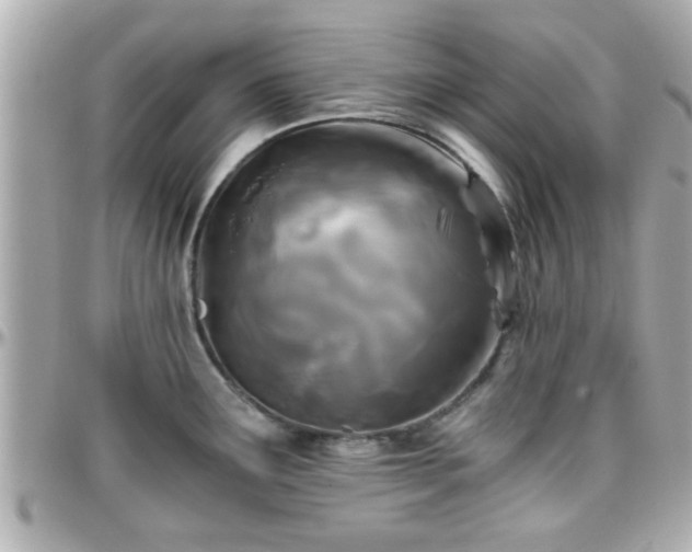 X0000096201291200801251004