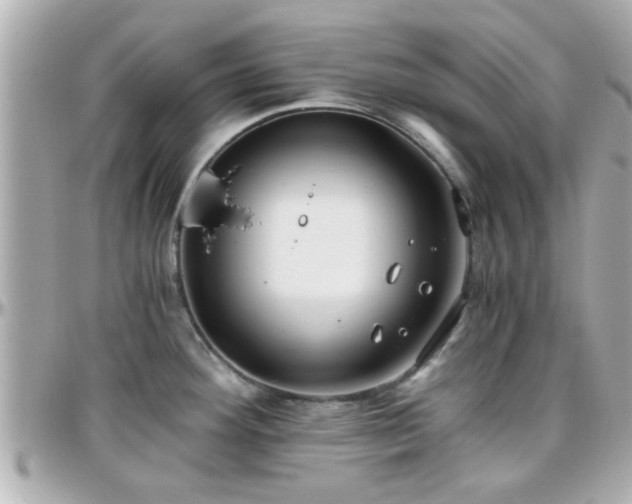 X0000096201292200801251004