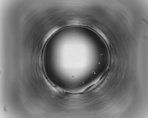 X0000096201293200801251004