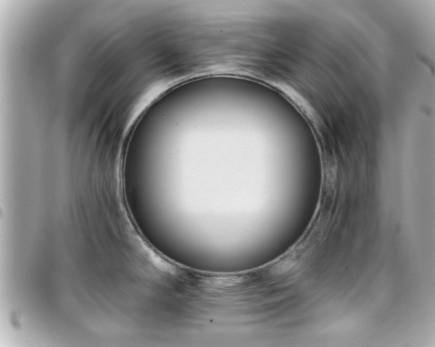 X0000096201294200801251004
