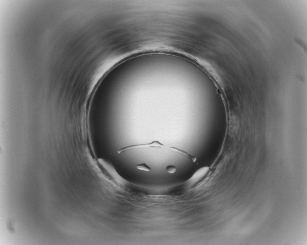 X0000096201295200801251004
