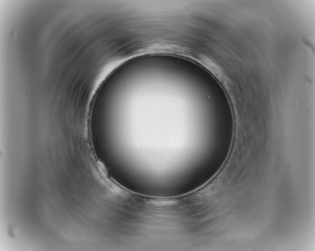 X0000096201296200801251004