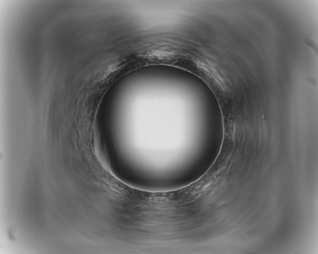 X0000096201297200801251004