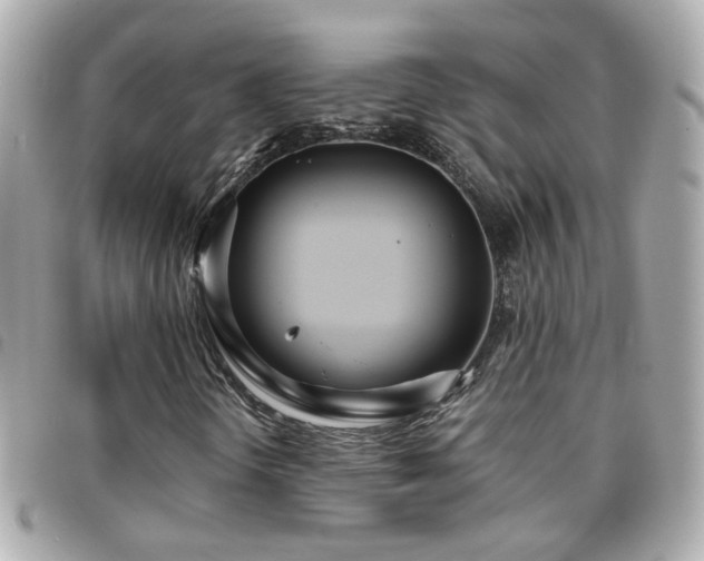X0000096201298200801251004