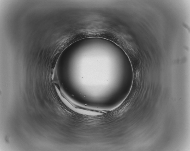 X0000096201300200801251004