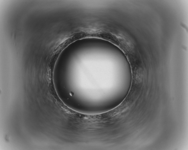 X0000096201301200801251004