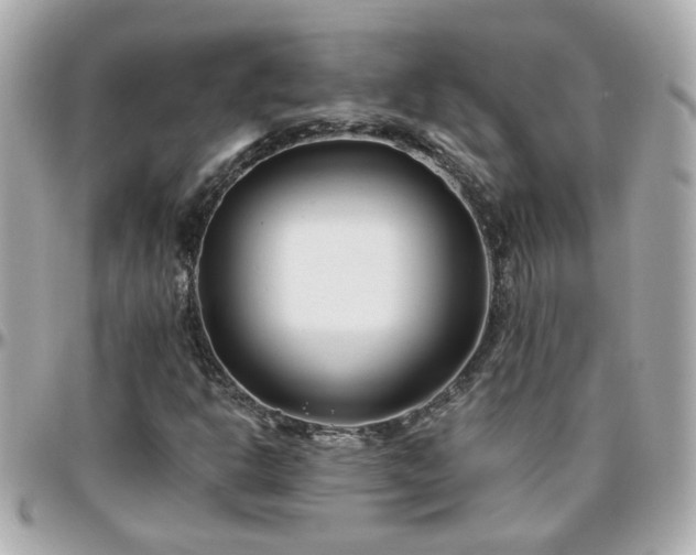 X0000096201302200801251004