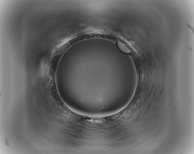 X0000096201303200801251004