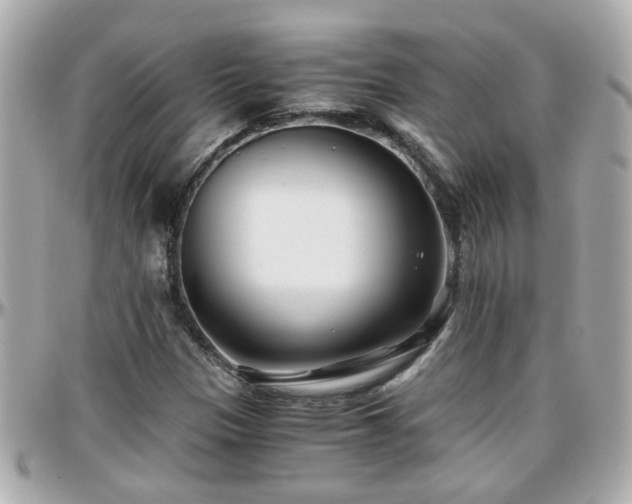 X0000096201305200801251004