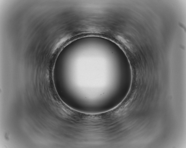 X0000096201307200801251004