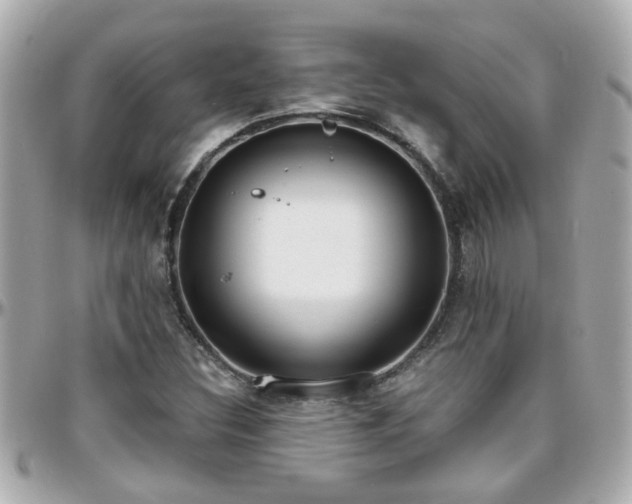 X0000096201308200801251004