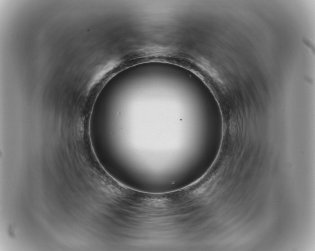 X0000096201309200801251004