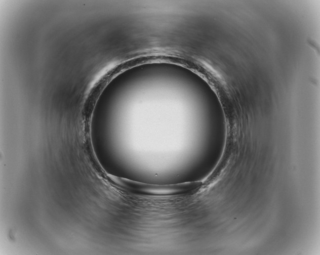 X0000096201310200801251004