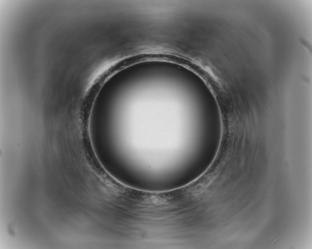 X0000096201311200801251004