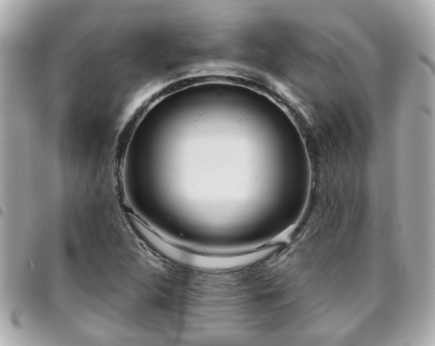 X0000096201312200801251004