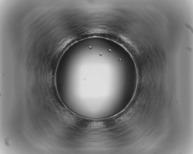 X0000096201313200801251004