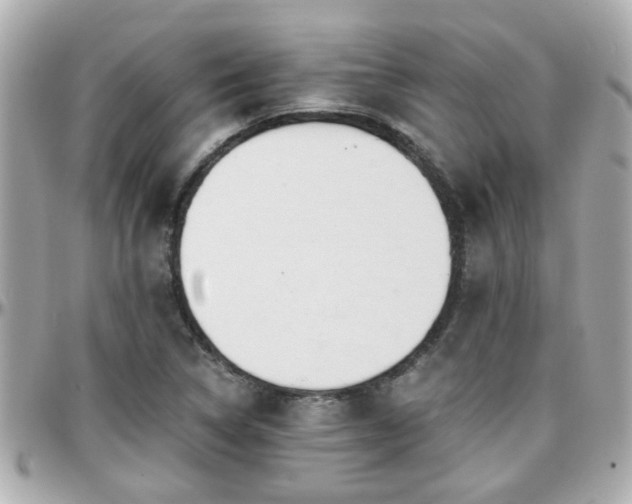 X0000096201314200801251004