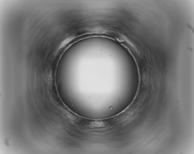 X0000096201315200801251004