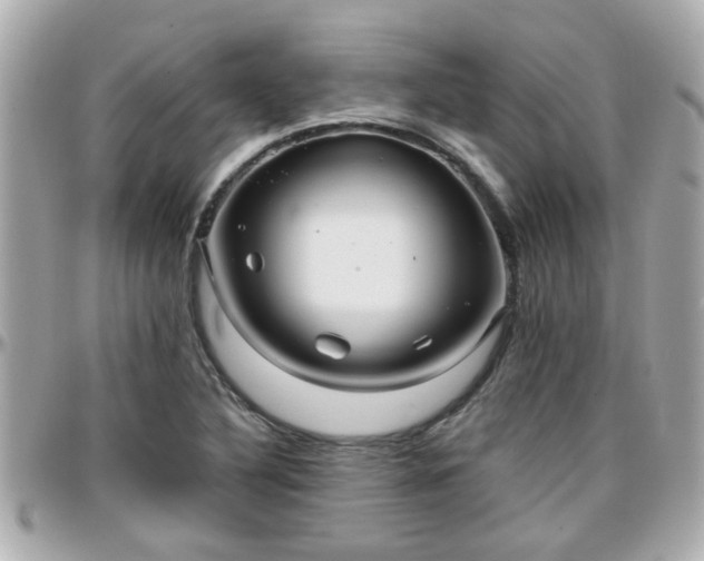 X0000096201316200801251004