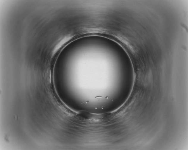 X0000096201317200801251004