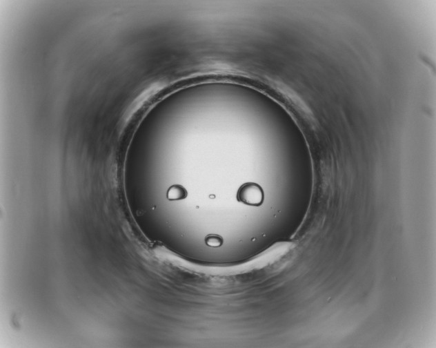 X0000096201318200801251004