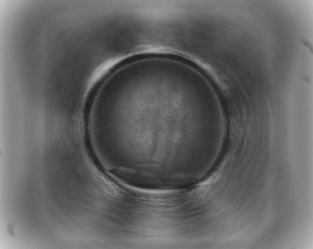 X0000096201319200801251004