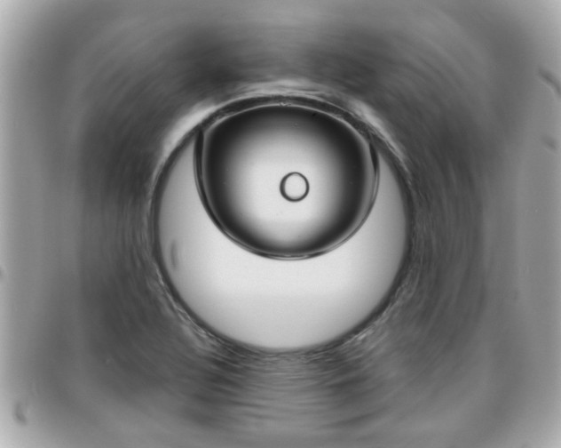 X0000096201320200801251004