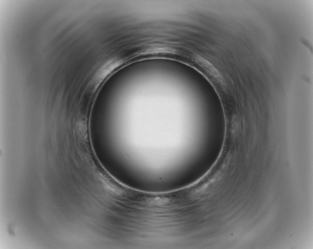 X0000096201321200801251004