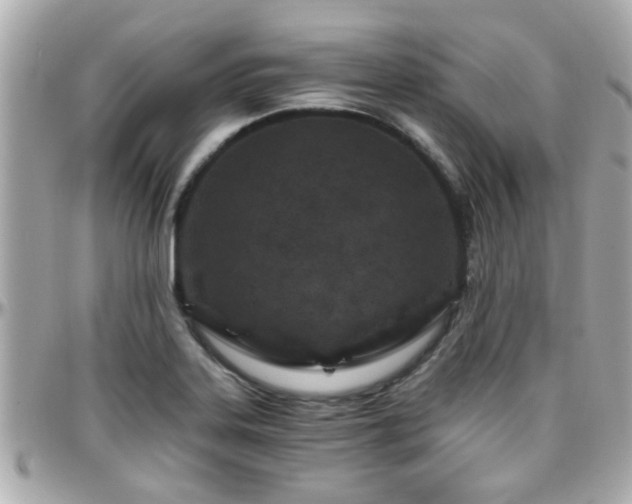 X0000096201323200801251004