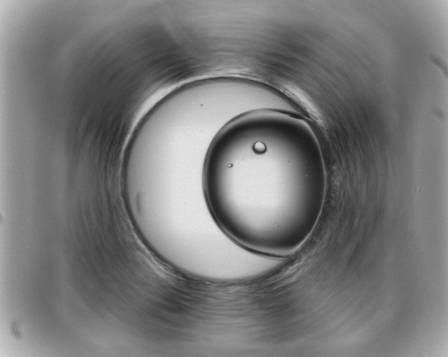 X0000096201324200801251004