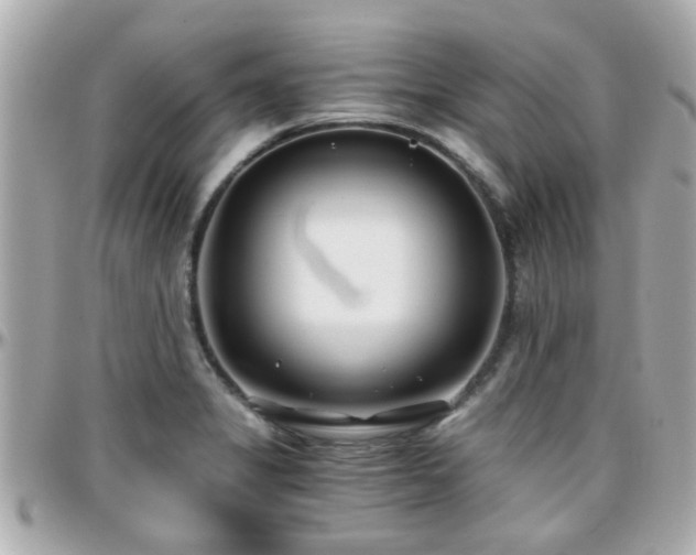 X0000096201325200801251004