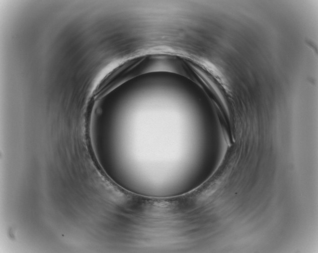 X0000096201326200801251004