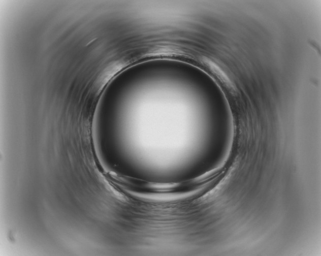 X0000096201329200801251004
