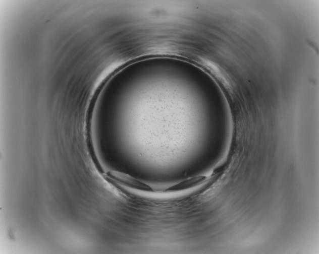 X0000096201331200801251004