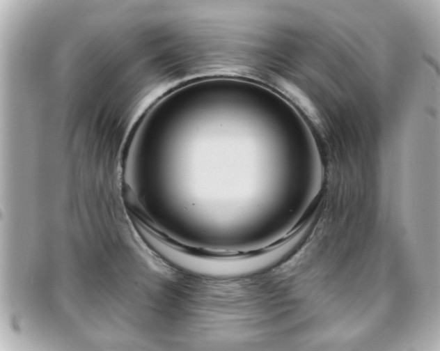 X0000096201332200801251004